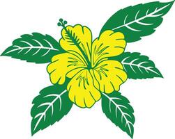Hibiscus Flower Illustration Art vector