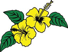 Hibiscus Flower Illustration Decor vector
