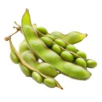 Fresh green soybeans isolated on transparent background showcasing their vibrant color and unique shape, Soybeans isolated png