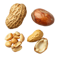 Whole, peeled, and unpeeled peanuts arranged on a transparent background, showcasing different peanut varieties, Peeled, unpeeled and whole shell peanuts isolated on transparent background png