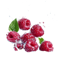 Ripe raspberries making a splash in clear water isolated against a transparent background, raspberries splashing into waterisolated on transparent background png