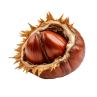 Chestnut seed with husk isolated on a clean transparent background, showcasing natural texture and rich color, Chestnut Seed isolated on transparent background png