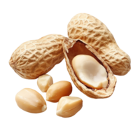 Opened shell peanuts and unpeeling peanuts displayed on a transparent background for culinary use and snack ideas, Opened shell peanut and unpeeled peanuts over transparent background png