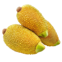 Ripe jackfruits arranged on a transparent background showcasing their unique texture and vibrant color, ripe jack fruits isolated on transparent background png