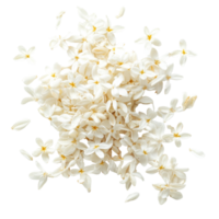 Top view of Thai jasmine rice seeds showcasing their delicate transparent petals on a transparent background, paddy rice seed top view of thai jasmine on transparent background png