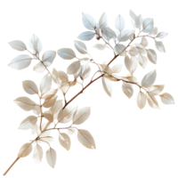 Delicate dried leaves in soft hues arranged on a transparent background for an elegant, Delicate natural objects on transparent background or transparent background, featuring s and for easy editing png