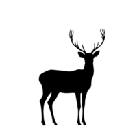 Silhouette of a deer standing gracefully against a stark transparent background in a tranquil setting, silhouette of deer on transparent background png