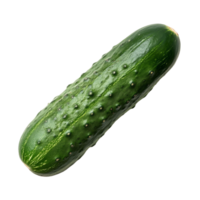Fresh cucumber resting on a clean transparent background highlighting its vibrant green color and natural texture, striped cucumber on transparent background png