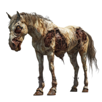 A surreal depiction of a zombie horse standing alone against a stark transparent background in an eerie atmosphere, Zombie horse isolated on transparent background png