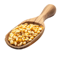 Corn seeds displayed in a wooden spoon isolated on a clean transparent background for culinary and gardening use, Corn seeds in wood spoon isolated on transparent background png
