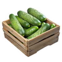 Fresh cucumbers nestled in a rustic wooden box on a transparent background, wooden box of cucumbersisolated on transparent background png