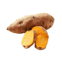 Fresh sweet yam potato with vibrant orange flesh on a plain transparent background ready for cooking or baking, sweet yam potato on transparent background png