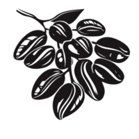 Silhouette of premium coffee beans isolated on a transparent background showcasing their unique shape and details, Premium Coffee Beans Silhouette with isolated on transparent background png