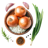 Fresh organic onions with green onions and spices on a transparent background ready for culinary use, Fresh organic onions transparent background. onions transparent background png