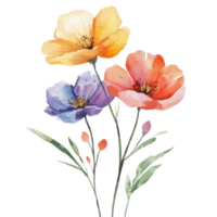 Colorful watercolor flowers isolated on transparent, showcasing delicate petals and vibrant hues in a serene composition, colorful flowers in water color isolated on transparent background png