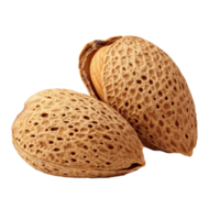 Natural almonds in their shells isolated on a clean transparent background for culinary use and cooking, almonds nut in shell isolated on transparent background png