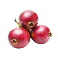 Karonda fruit cluster on a transparent background showcasing its vibrant red color and unique shape for culinary and health benefits, Carunda or Karonda fruit isolated on transparent background png