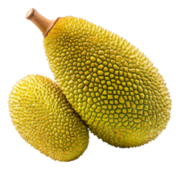 Jackfruit isolated on a transparent background showcasing its unique texture and shape for culinary and nutritional use, Jackfruit isolated on transparent background png
