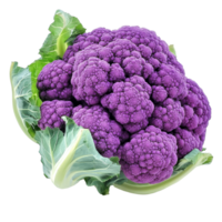 Vibrant purple cauliflower showcasing its unique color and texture against a simple transparent background, Purple cauliflower on transparent background png