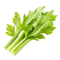 Fresh celery leaves isolated on a transparent background showcasing vibrant green colors and unique leaf structure, fresh celery leaf isolated on transparent background png