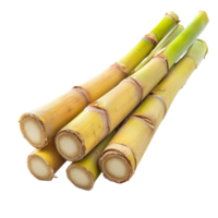 Freshly harvested sugarcane stalks isolated on a transparent background showcasing their natural texture and color, Sugarcane isolated on transparent background png