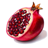 Vibrant and luscious pomegranate cut in half reveals juicy ruby seeds against a clean transparent background, Vibrant and Luscious Pomegranate on transparent background png