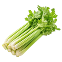 Fresh celery stalks arranged neatly on a clean transparent background showcasing its vibrant green color and crisp texture, Celery isolated on transparent background png