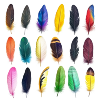 A vibrant collection of colorful feathers displayed on a clean transparent background, showcasing natural beauty and variety in texture and color, colorful feathers isolated on transparent background png