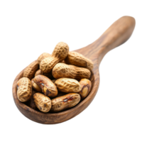 Nutritious tigerstripe beans on a wooden spoon, showcasing their unique texture and color in a simple setting, peanuts ,thai name is tigerstripe beans in wood spoon isolated on transparent background png