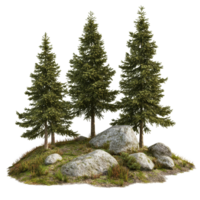 A tranquil spruce forest with rocky terrain showcasing natures beauty in a serene and isolated setting, spruce forest with rocks, file of isolated object on transparent background png