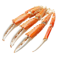 Freshly cooked crab legs ready to be enjoyed for a delicious seafood feast on a simple transparent background, Fresh tasty cooked crab legs on a transparent background. crab legs png