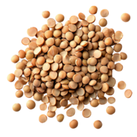 Raw lentils on a transparent background, showcasing their round shape and natural earthy color for culinary use, Lentils isolated on transparent background png