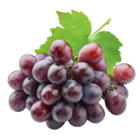 Fresh red grapes cluster on transparent background showcasing natural detail and vibrant color, Fresh Grapes Cluster isolated on transparent background png