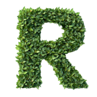 Green leaves form the letter R. cut out png