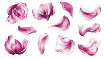 Delicate Pink Flower Petals Isolated on Black png
