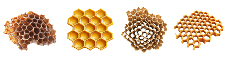 Honeycomb Variations Displaying Structure and Texture png