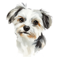A charming portrait of a small, friendly dog with expressive eyes and fluffy fur. png