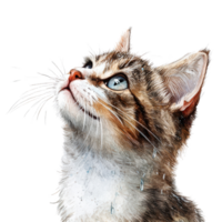 A curious cat looking up with bright, expressive eyes and a soft, detailed fur texture. png