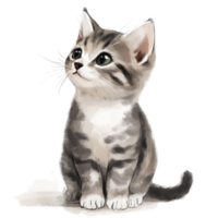 uma fofa e curioso gatinho sentado graciosamente, exalando brincalhão charme e inocência. png