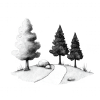A serene pathway meandering through lush trees and rocks in a tranquil garden. png
