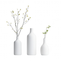 Elegant minimalistic vases with delicate branches, perfect for modern home decor. png