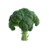 Broccoli Floret Isolated on Transparent Background png