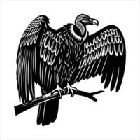 Vulture Sitting On Tree Branch Images vector
