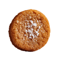 A Cookie with a Sprinkle of Salt on a Clear Background png