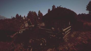 Rustic cabins nestled among trees at dusk in a tranquil natural setting video