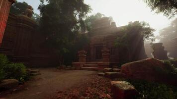 Path Leading Through Dense Forest to Hidden Mayan Temple video