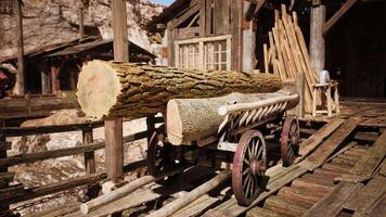 Wooden cart loaded with logs near a rustic cabin in a scenic forest setting video