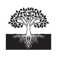 Tree with isolated leaves and root. vector