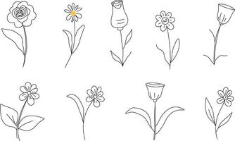 Abstract collection flowers. Line art minimalism botany. vector