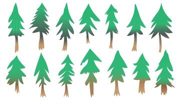 big set of fir trees vector